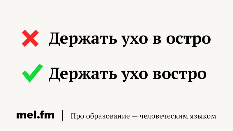 Держать ухо в остро или востро как пишется? - netotita.ru