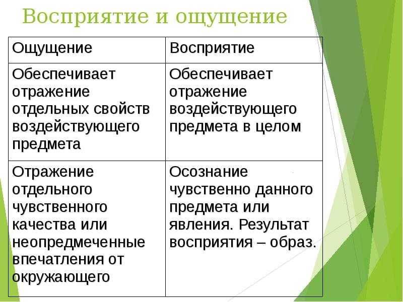 Отличие восприятия от ощущений. виды и примеры ощущений и восприятия