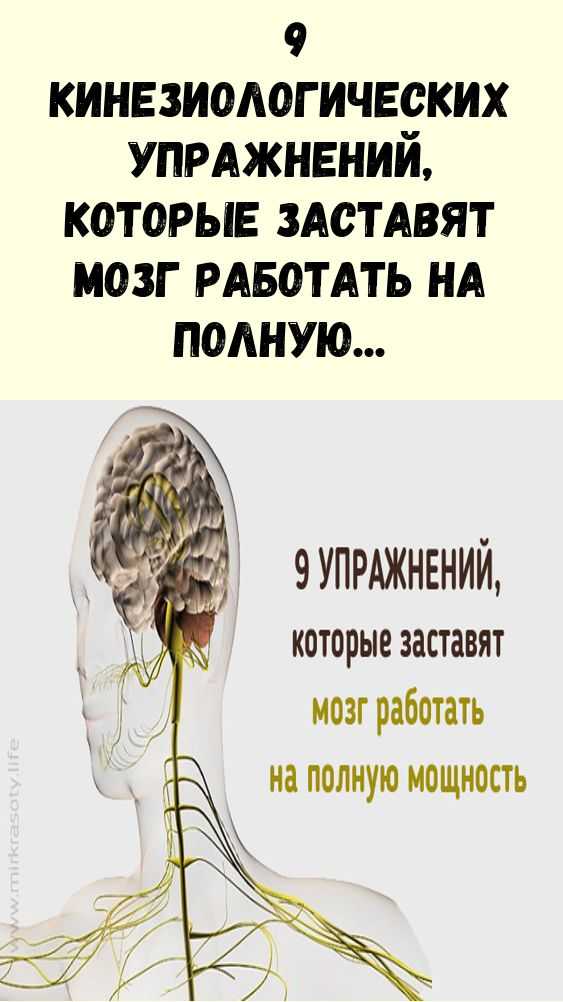 Использование элементов пальчиковых кинезеологических упражнений для развития межполушарных связей головного мозга детей (1 фото). воспитателям детских садов, школьным учителям и педагогам - маам.ру