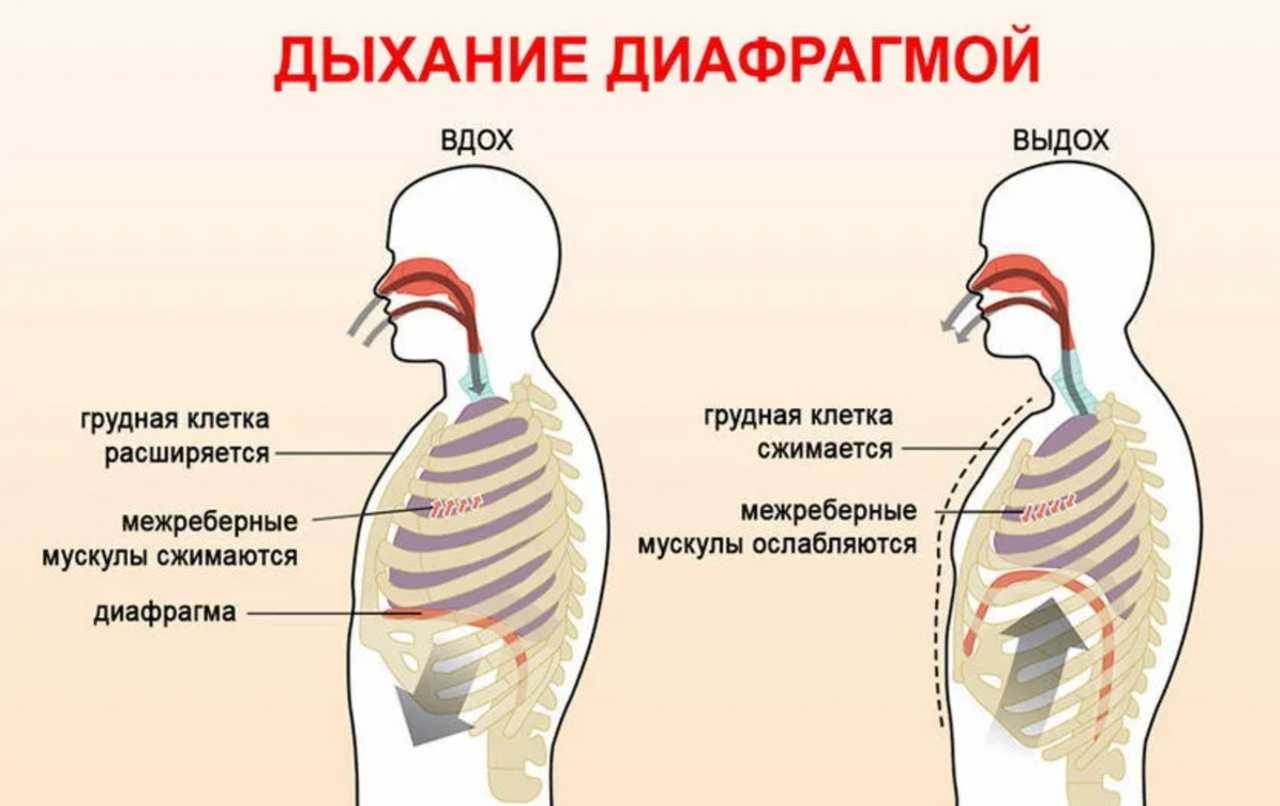 Значение и история выражения "наладом дышит": причины и последствия